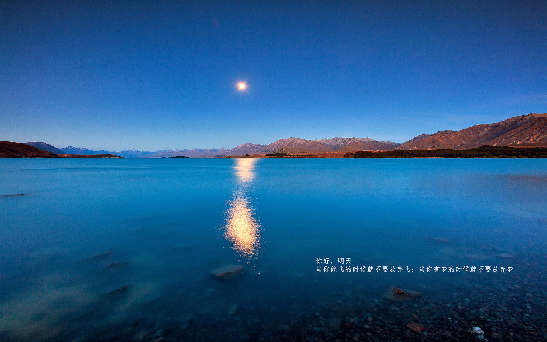 唯一性的双重奏，埃及最后时刻击败新西兰与楚阿梅尼的欧冠半决赛接管
