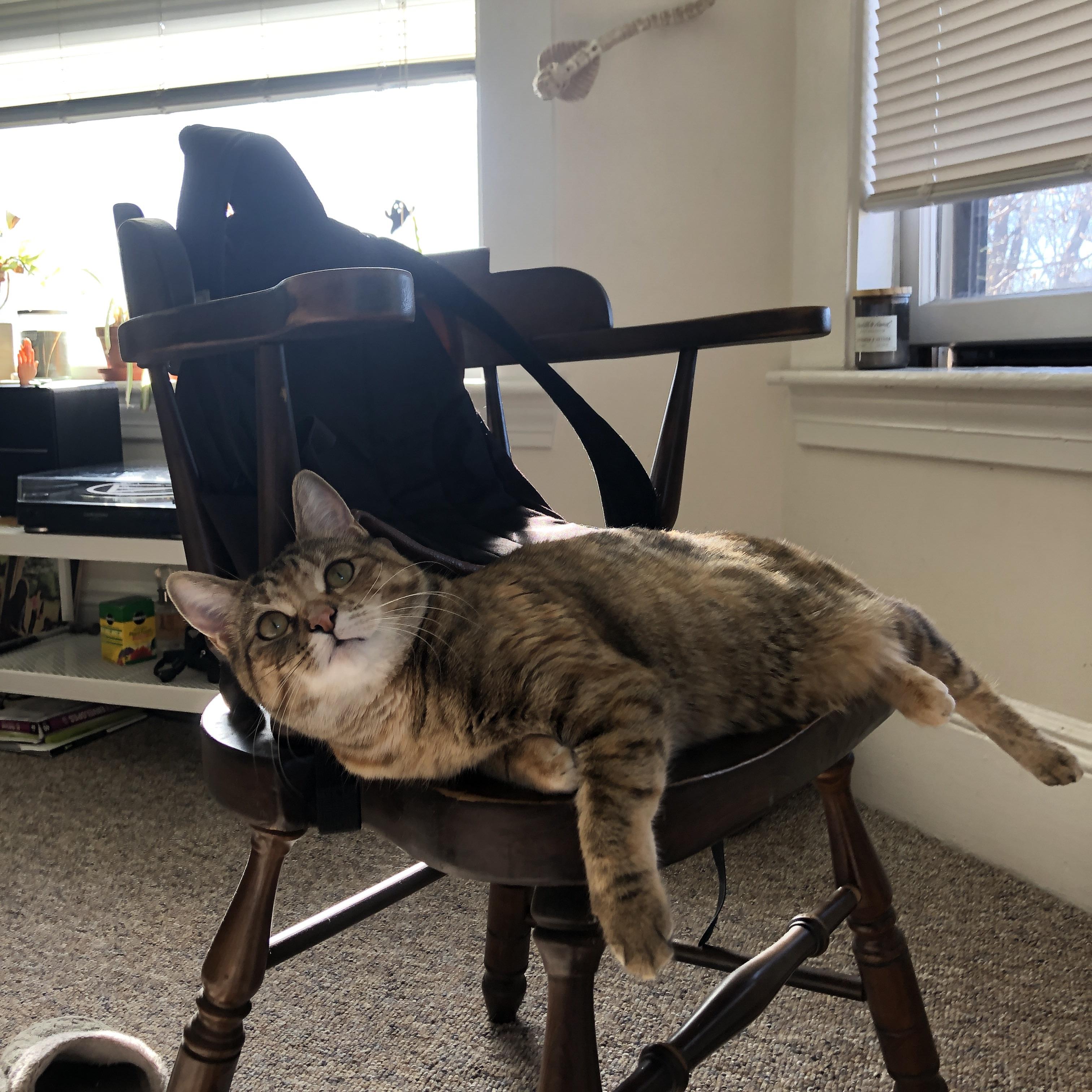 铁血雄鹿用窒息防守绞杀老鹰，关键先生乔治·希尔成胜负手