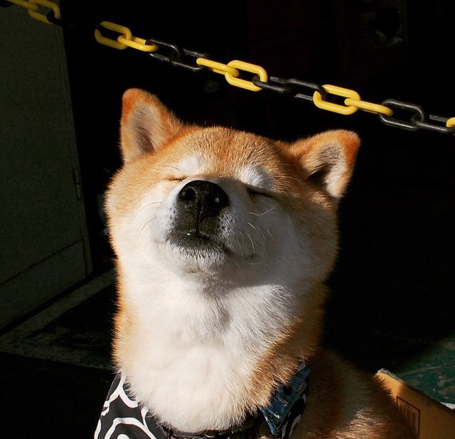 蓝色狂想曲与终场哨的顿悟，布雷默唯一一次为拉齐奥出战的巅峰对决