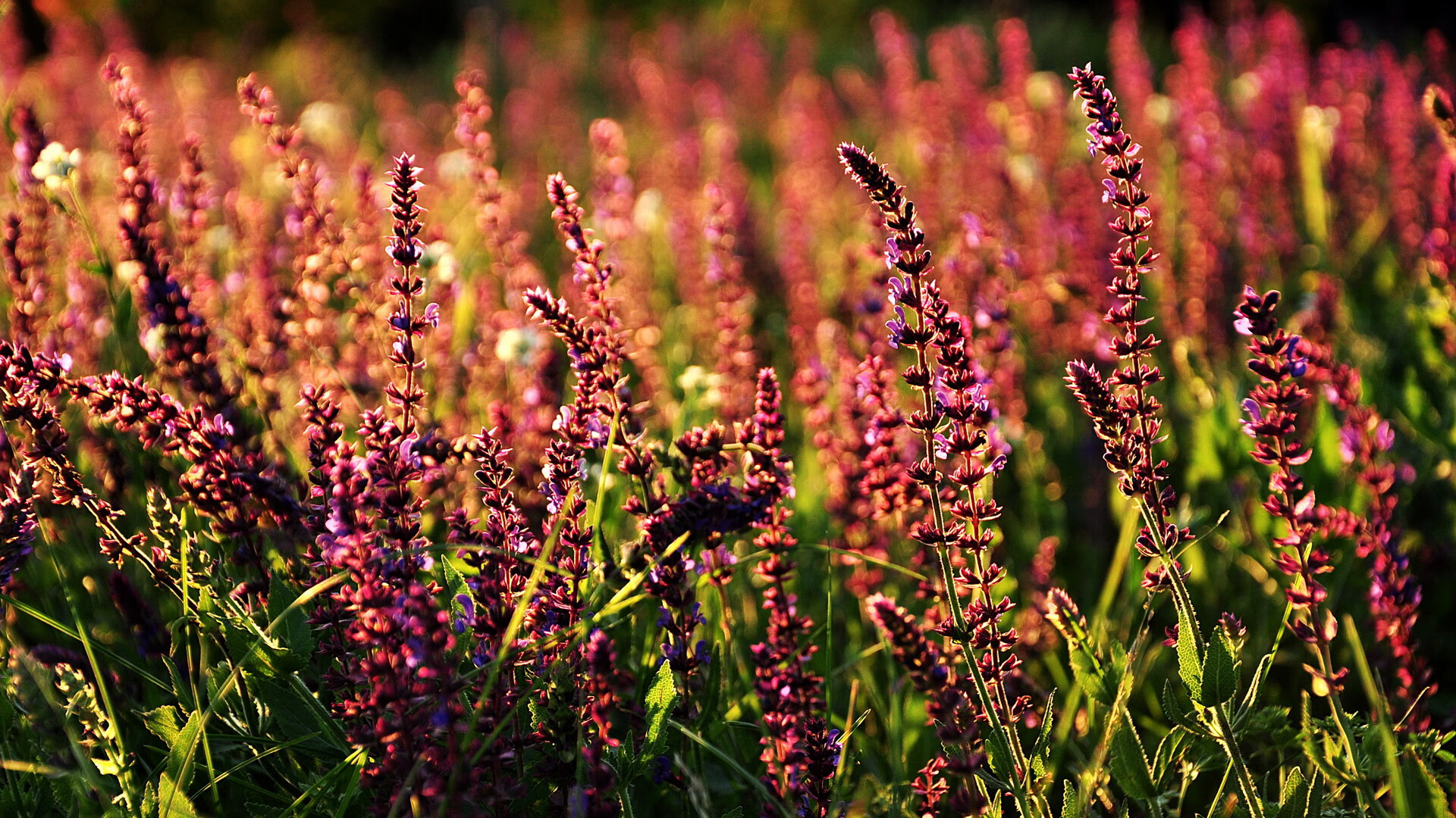 长城内外见证唯一胜利，爱德华兹致命9.2秒，湖人险胜新疆终结悬念