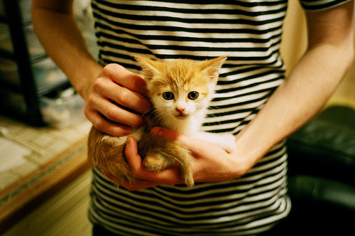 封神之战，爱德华兹决胜局一击封神，森林狼绝境逆转带走浙江