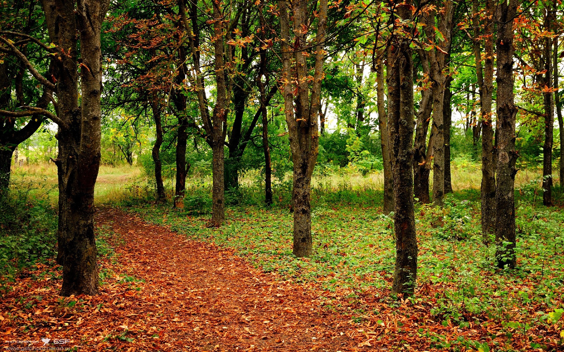 塞内加尔的魔法，国家德比中一场跨维度的胜利