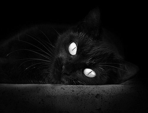 唯一的鼓手与堡垒，当劳塔罗奏响节奏，马里镇守胜利之门