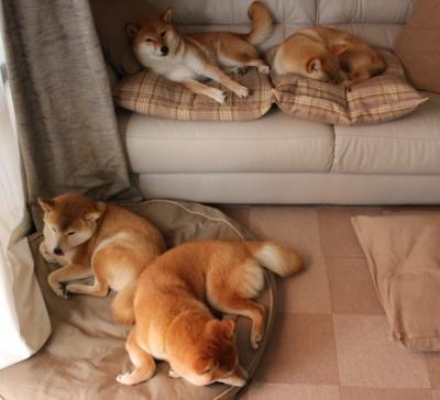 神来之笔!哥伦比亚闪电战击溃贝蒂斯,金玟哉末节统治攻防