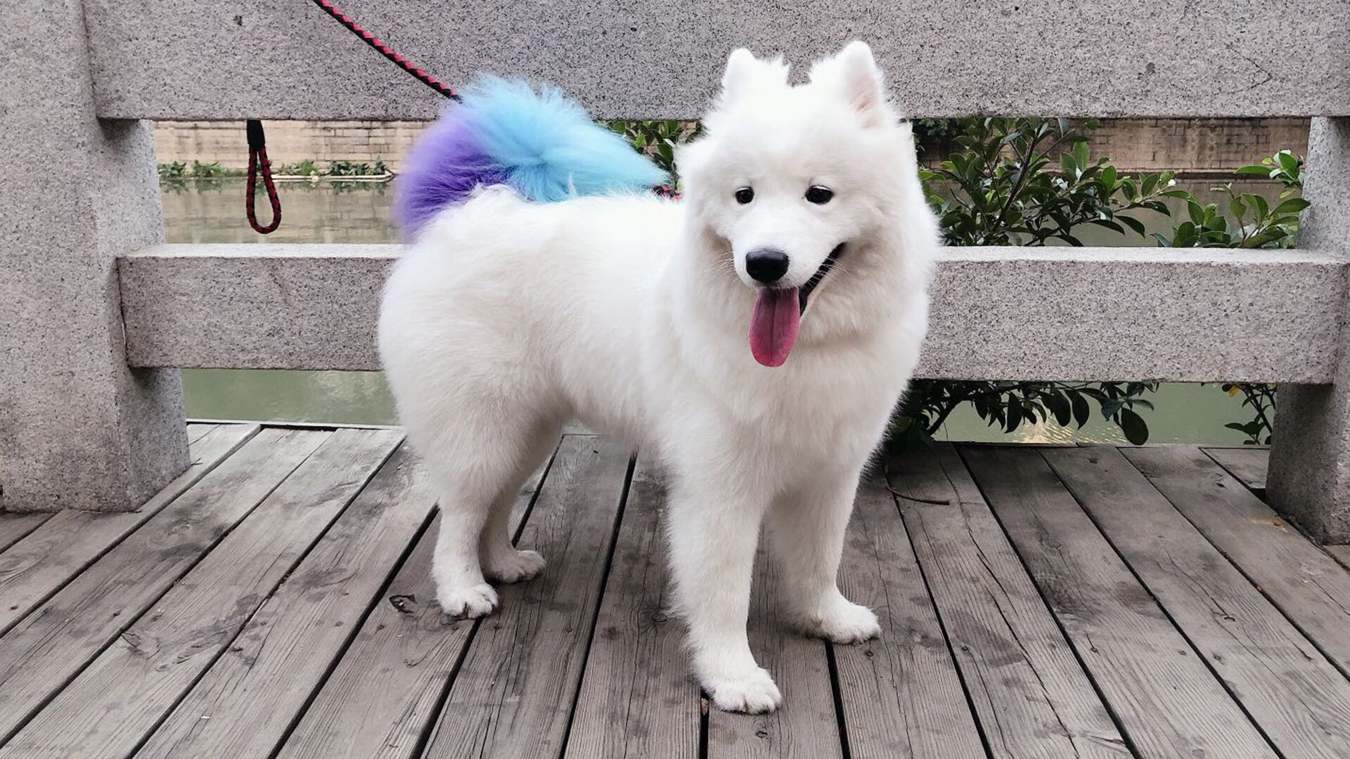 拉什福德一锤定音，卡塔尔巅峰对决力克瑞典