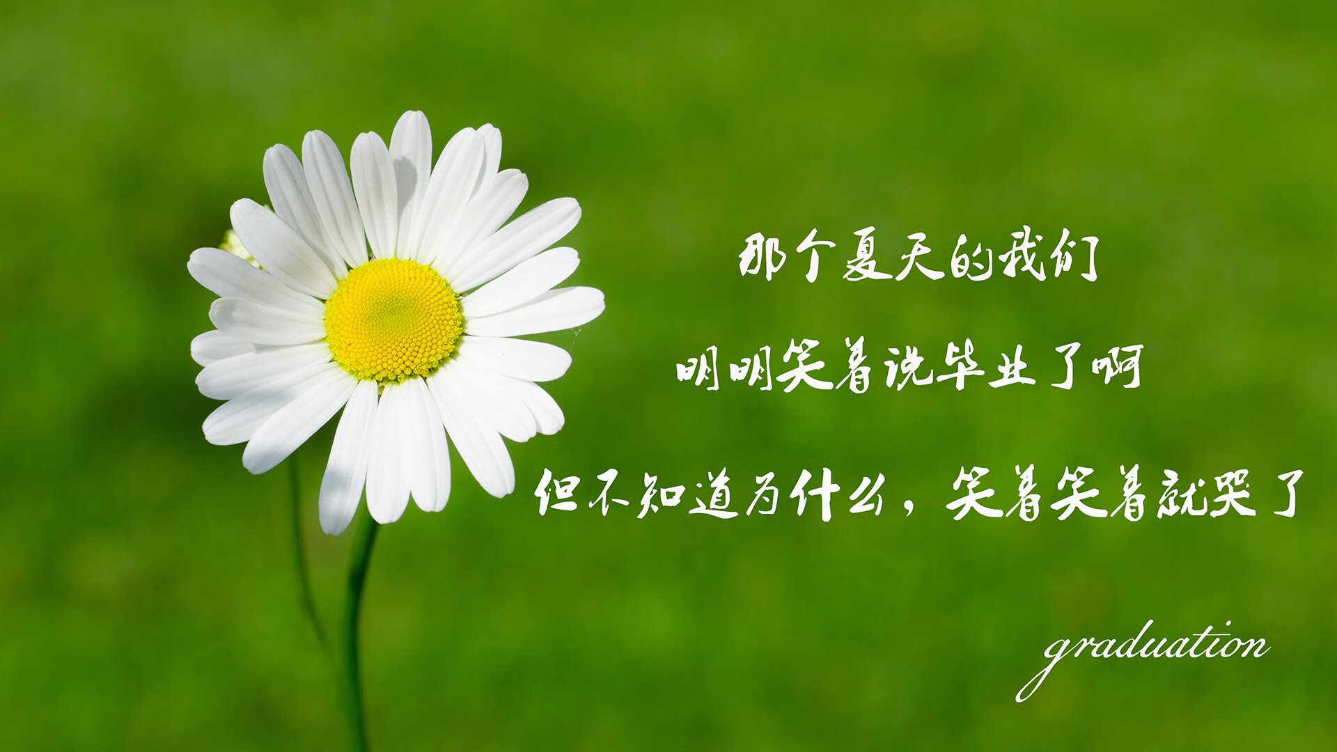 你给出的两个关键词分属不同领域—德甲争冠战是足球范畴，而莫兰特是篮球巨星。若强行融合，会丧失专业性