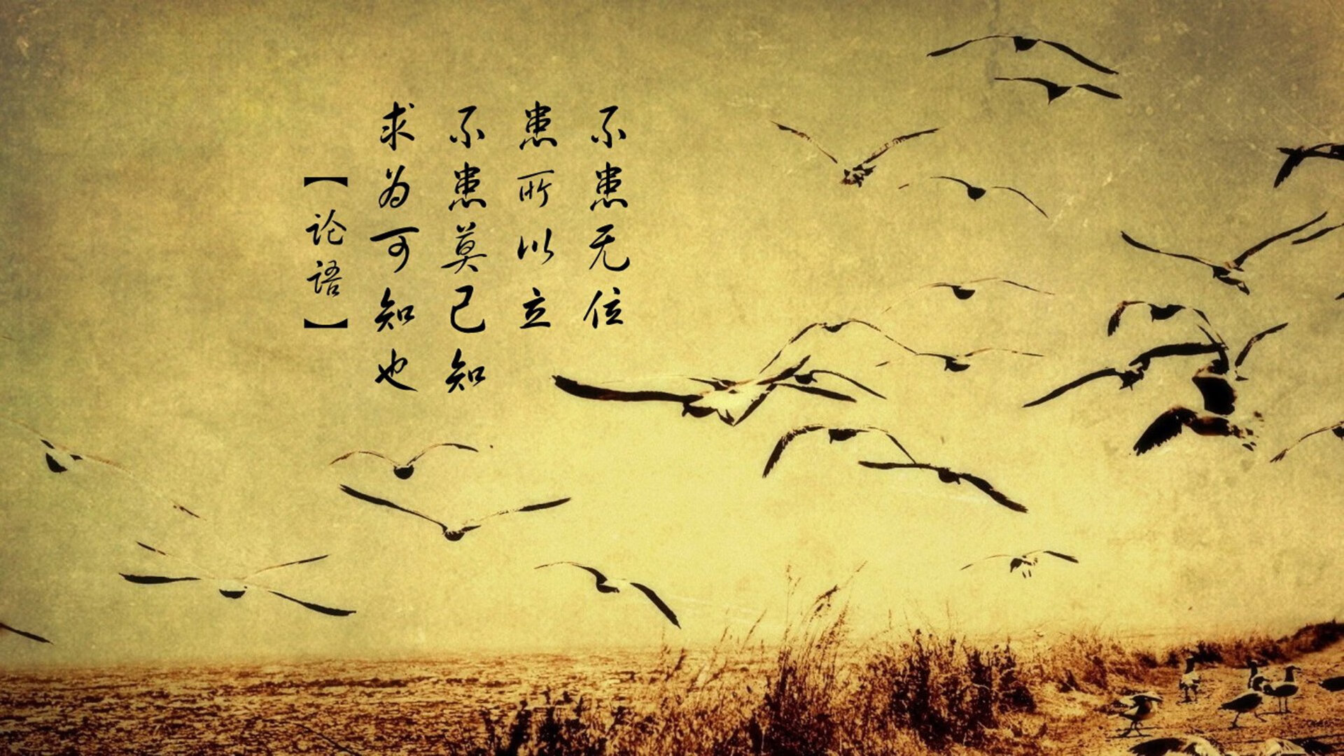 钢铁与星光的协奏,波兰铁幕下的摩洛哥幻影,莱万铸就E组王座之匙